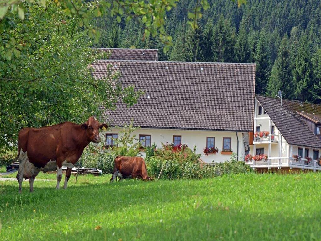 Apartamento Loecherhansenhof Bad Peterstal-Griesbach Exterior foto